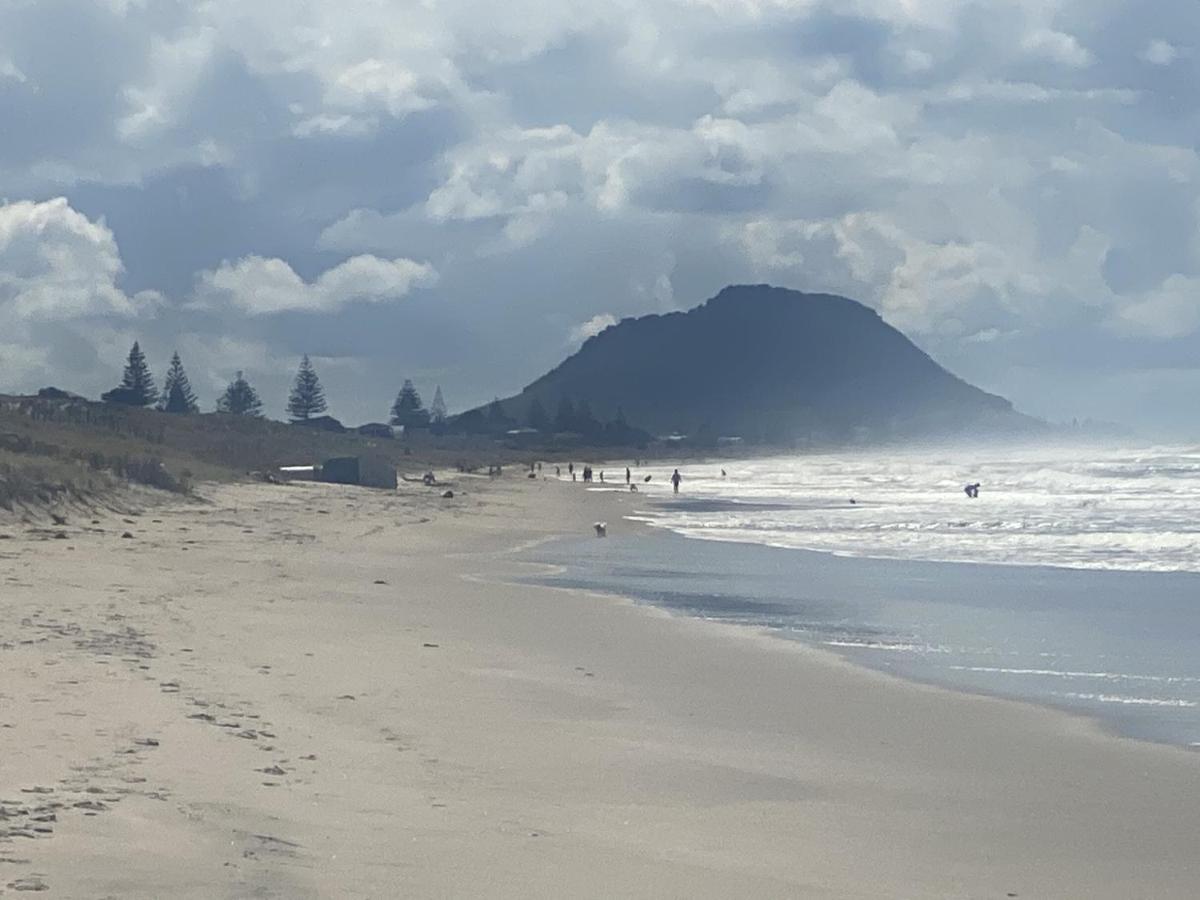 Superb Beachside Location, Private And Tranquil Apartment Mount Maunganui Exterior photo